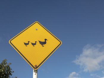 Ducks crossing yellow sign against a blue sky horizontal