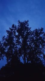 Low angle view of silhouette trees against blue sky