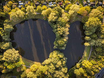 High angle view of trees by river