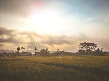 Scenic view of field against cloudy sky