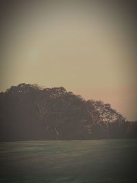 Scenic view of landscape against clear sky