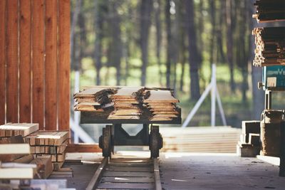 Stack of chairs on table against trees in forest