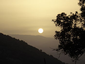 Silhouette tree against sky during sunset