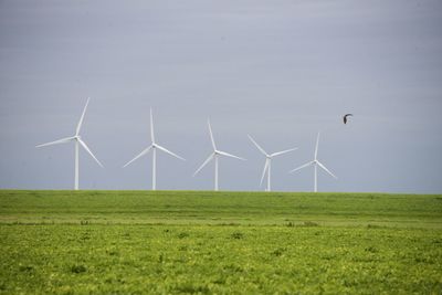 Wind turbines on field against sky