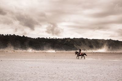 Men riding horse on field against sky