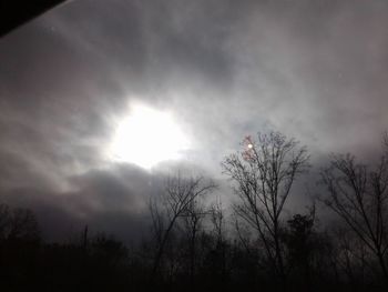 Low angle view of silhouette trees against sky