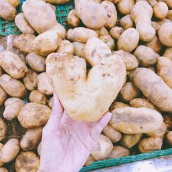 Close-up of hand holding vegetables for sale at market stall