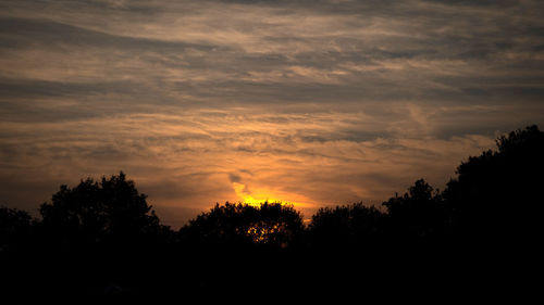 Silhouette trees against dramatic sky during sunset