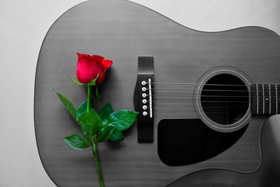 Directly above shot of guitar on plant