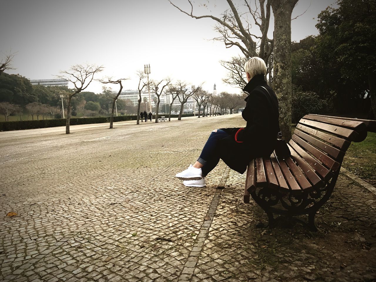 real people, tree, bench, one person, full length, sitting, seat, plant, park, rear view, leisure activity, footpath, lifestyles, casual clothing, nature, day, adult, park - man made space, women, outdoors, park bench, warm clothing, paving stone