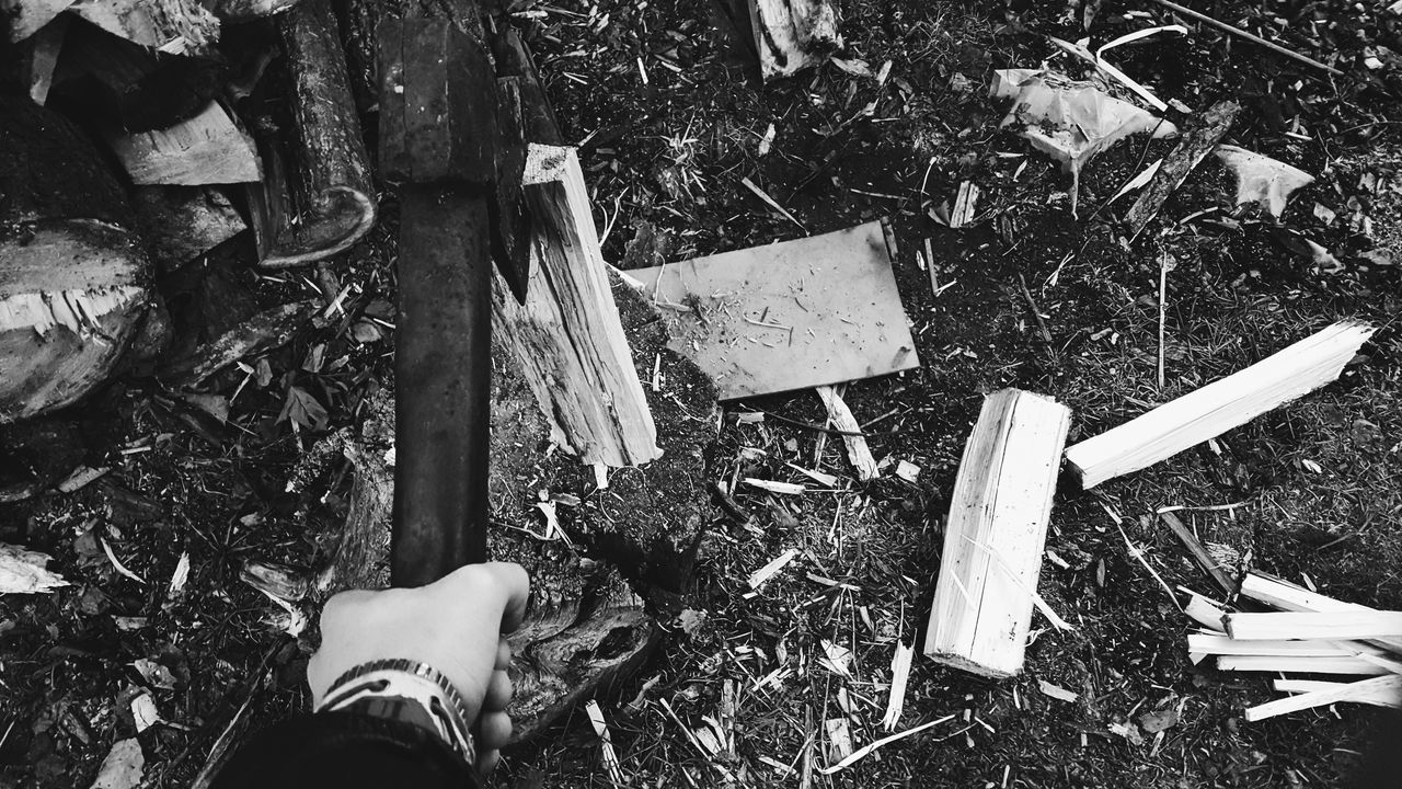 LOW SECTION OF PERSON ON FIELD BY LOG