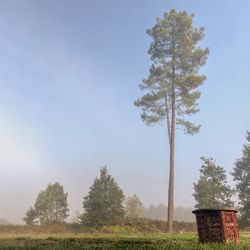 Trees on field against sky