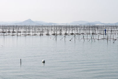 Sea weed farm in winter sea against clear sky