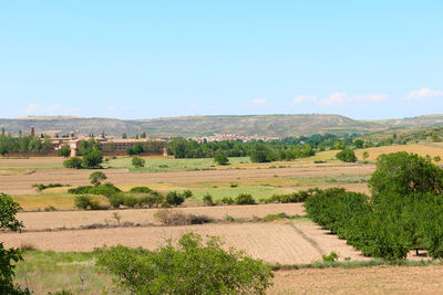 Scenic view of agricultural field against sky