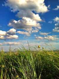 Scenic view of grassy field against cloudy sky