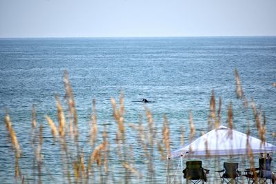 Scenic view of sea against clear sky