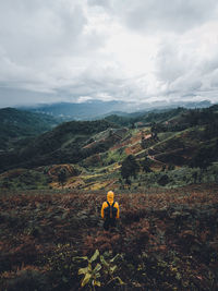 Rear view of man on landscape against sky