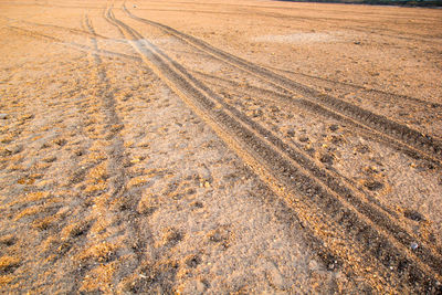 High angle view of tire tracks on dirt road