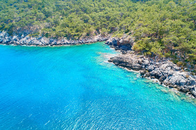 Scenic view of sea shore