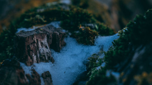 Close-up of rocks in water