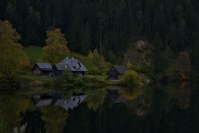 Scenic view of lake in forest