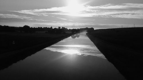 Reflection of trees in water