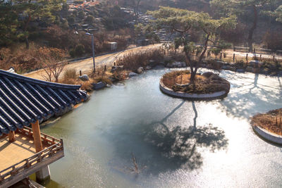 High angle view of trees by water