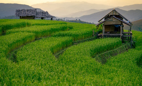 Landscape of rice terrace and hut with mountain range background and beautiful sunrise sky. nature