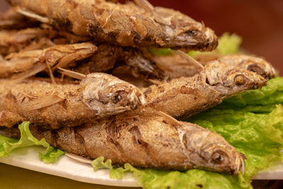 Close-up of food in plate