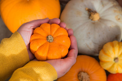 High angle view of hands holding pumpkin