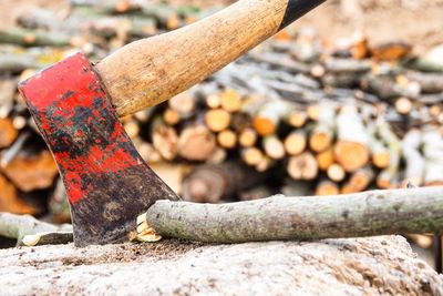 Close-up of rusty tree stump