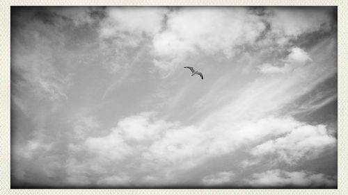 Low angle view of airplane flying against cloudy sky