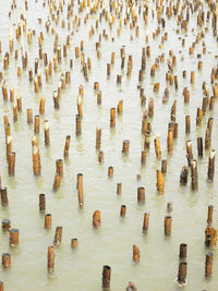 High angle view of wooden posts