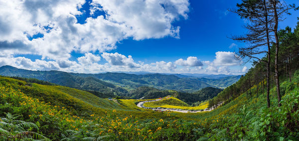 Scenic view of landscape against sky