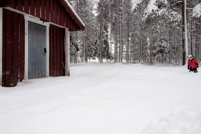 Snow covered landscape