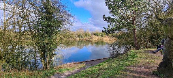 Scenic view of lake by trees against sky