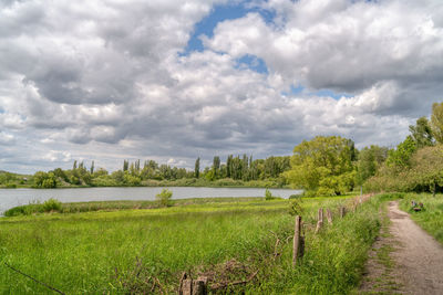 Scenic view of field against sky