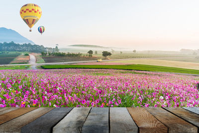 View of flowers in field against clear sky