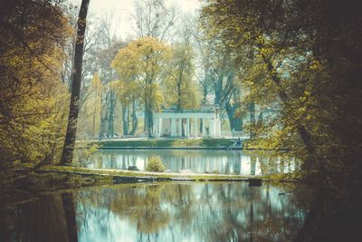 Reflection of trees in lake