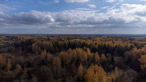 Autumn colours on a cloudy day