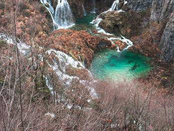 Scenic view of waterfall in forest