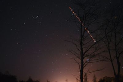 Low angle view of bare tree against sky at night