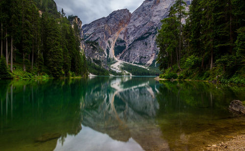 Reflection of trees in lake against sky