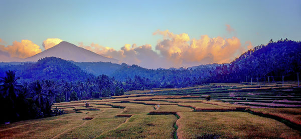 Scenic view of field against sky during sunset