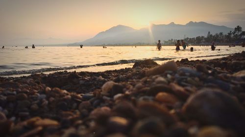 People at beach during sunset