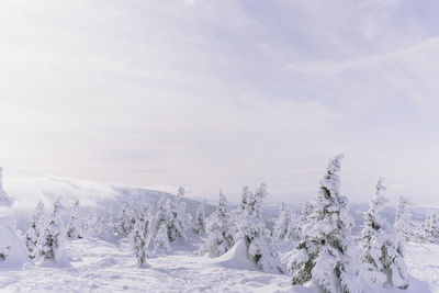Scenic view of snow covered landscape against sky