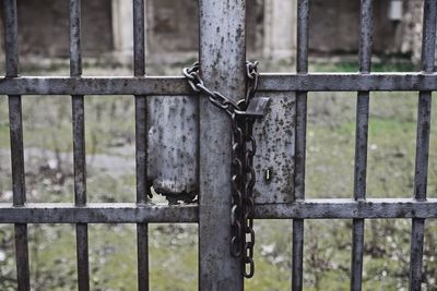 Close-up of padlock on gate