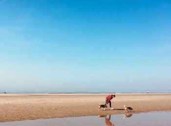Rear view of woman walking at beach against clear blue sky