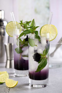 Cold refreshment organic cocktail blackberry mojito with berry fruit in glass