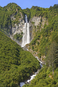 Scenic view of waterfall in forest